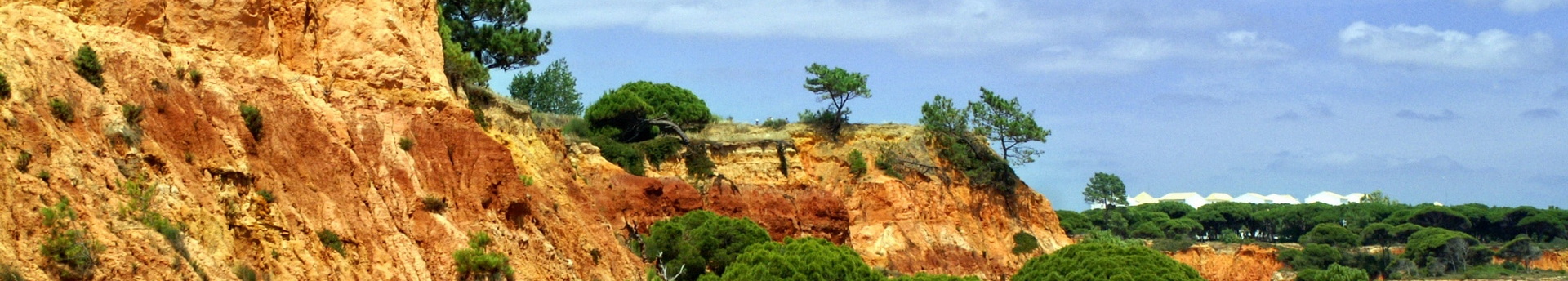 Ayahuasca retreat in Portugal